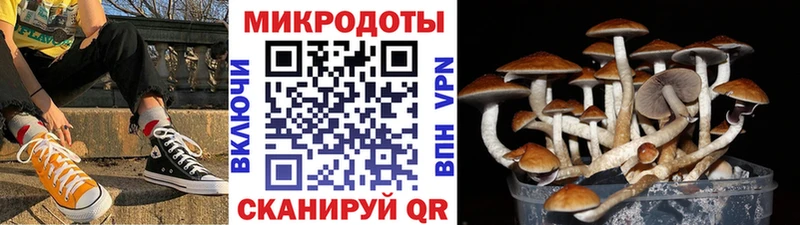 Псилоцибиновые грибы мицелий  Бронницы 